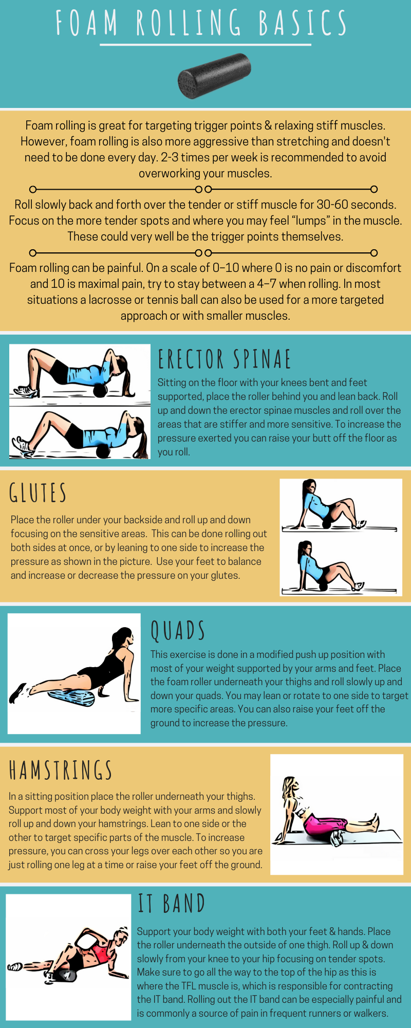 Foam Rolling Basics for Fitness and Injury Prevention